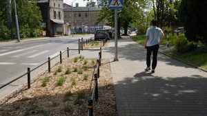 Katowice stawiają na odbruki. 17 lokalizacji z nową zielenią