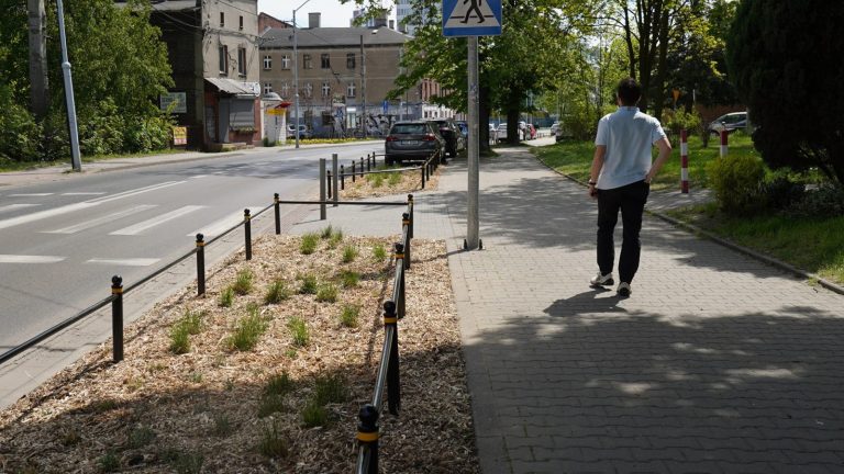 Katowice stawiają na odbruki. 17 lokalizacji z nową zielenią