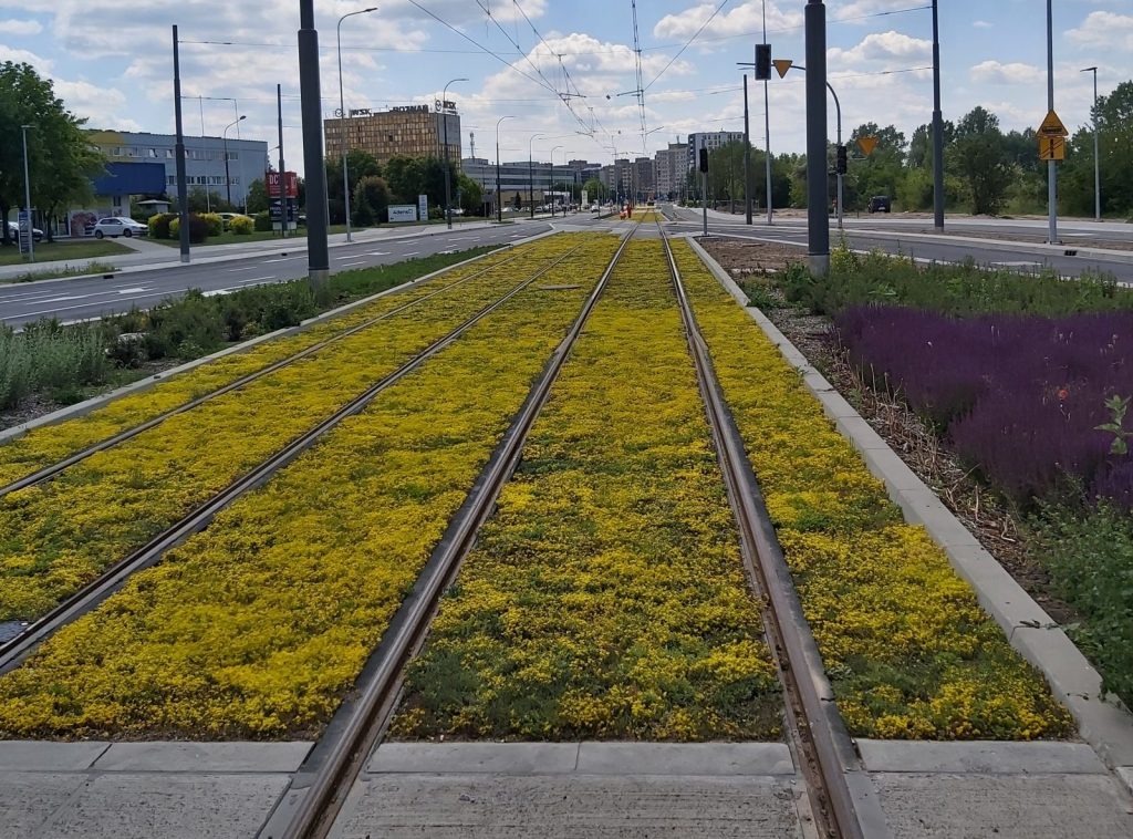 Integracja transportu publicznego z zieloną infrastrukturą