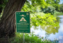 Warszawa. W parkowych stawach trwa odłów gatunków inwazyjnych