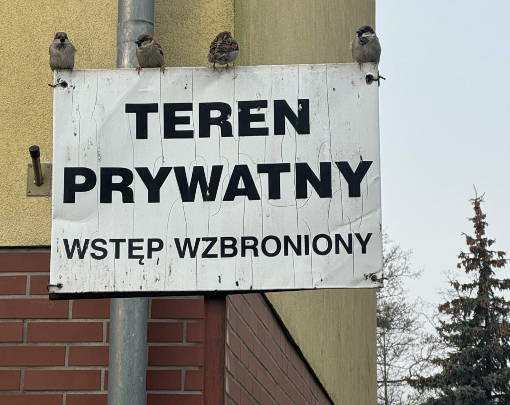 Kwaśne ślady miejskiej awifauny