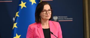 Anita Sowińska: 