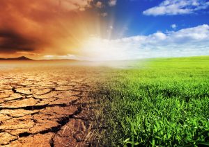 Naukowcy apelują do polityków o działania chroniące obywateli przed skutkami zmiany klimatu