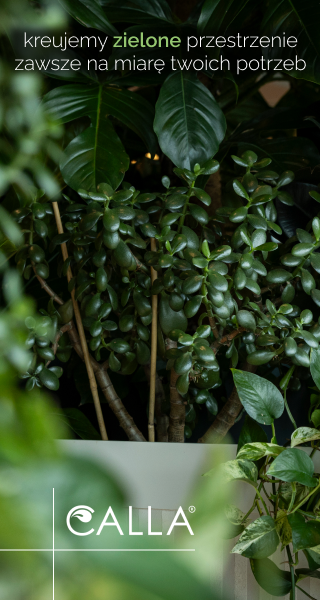 Zieleń miejska (AD3a) CALLA [23.07-31.10.26]