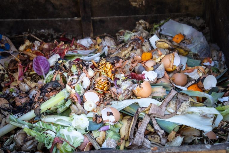 Recykling odpadów żywnościowych może przynieść ogromne korzyści; wyzwaniem pozostaje mikroplastik