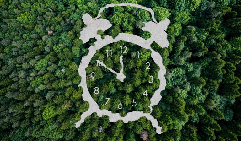 PPWR – co trzeba wiedzieć przed sierpniem 2026 roku?