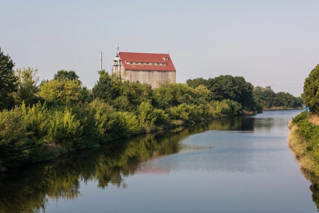 Złota alga w Kanale Gliwickim. Służby podejmują działania prewencyjne