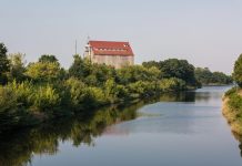 Złota alga w Kanale Gliwickim. Służby podejmują działania prewencyjne