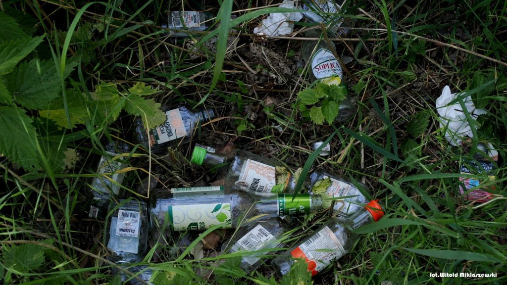 Szklana plaga. „Butelki i potłuczone szkło są dosłownie wszędzie”
