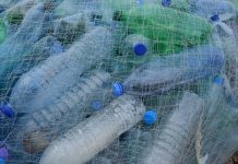 Sowińska: w lipcu w systemie kaucyjnym zebrano 900 mln opakowań