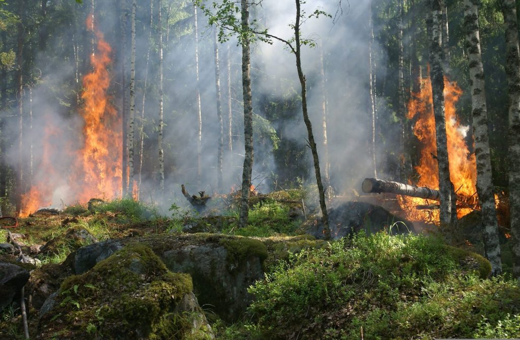 Zmiana klimatu może niemal potroić obszar pożarów w Europie