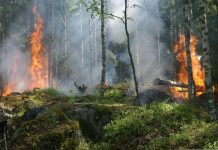 Zmiana klimatu może niemal potroić obszar pożarów w Europie