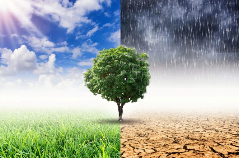 Zmiana klimatu w Polsce: nauka ostrzega, infrastruktura zostaje w tyle