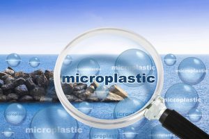 Mikroplastik przenosi chemię, patogeny i geny oporności na antybiotyki?