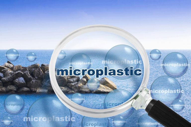 Mikroplastik przenosi chemię, patogeny i geny oporności na antybiotyki?