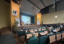 Jak chronić historyczne nekropolie? Trwa konferencja w Szczecinie