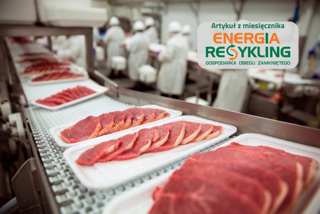 Między recyklingiem a bezpieczeństwem żywności