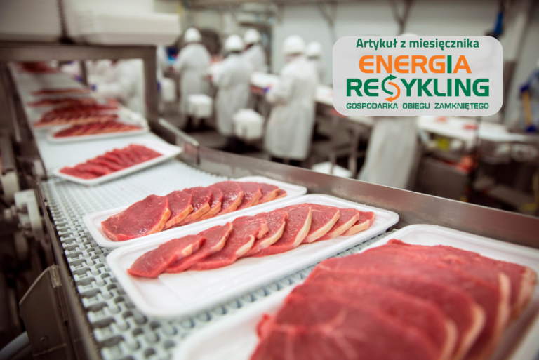 Między recyklingiem a bezpieczeństwem żywności