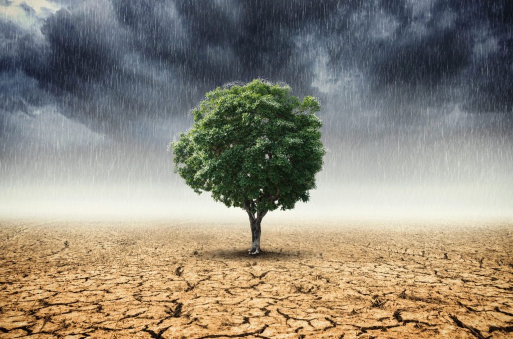 Koszty zmiany klimatu w Polsce: nawet 124 mld zł rocznie
