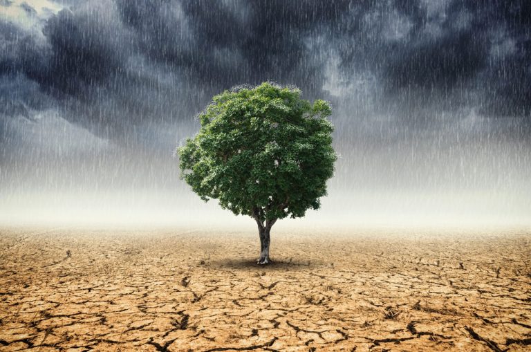 Koszty zmiany klimatu w Polsce: nawet 124 mld zł rocznie